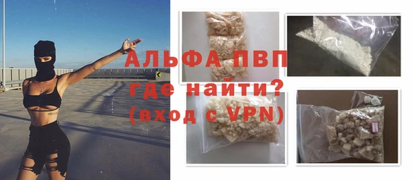 прущие грибы Куйбышев