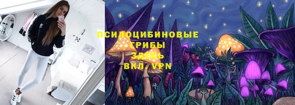 спиды Лагань