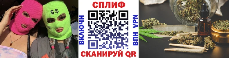 Конопля план  Дубовка 